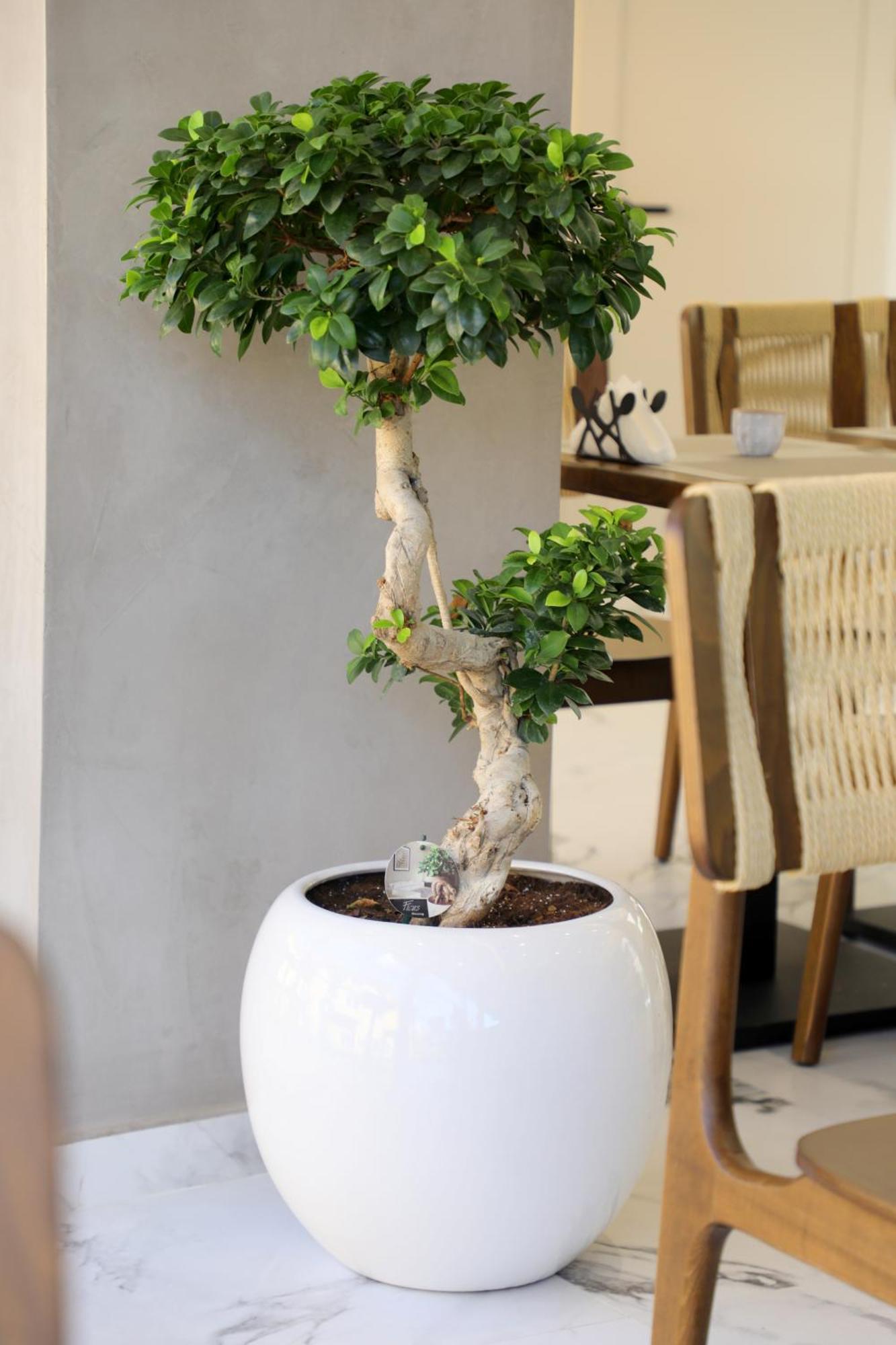 Niklas Boutique Hotel Saranda Dış mekan fotoğraf